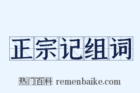 正宗记组词是什么意思的图片